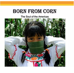 Girl covering her face with a corn leaf